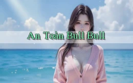 An toàn Bull Bull