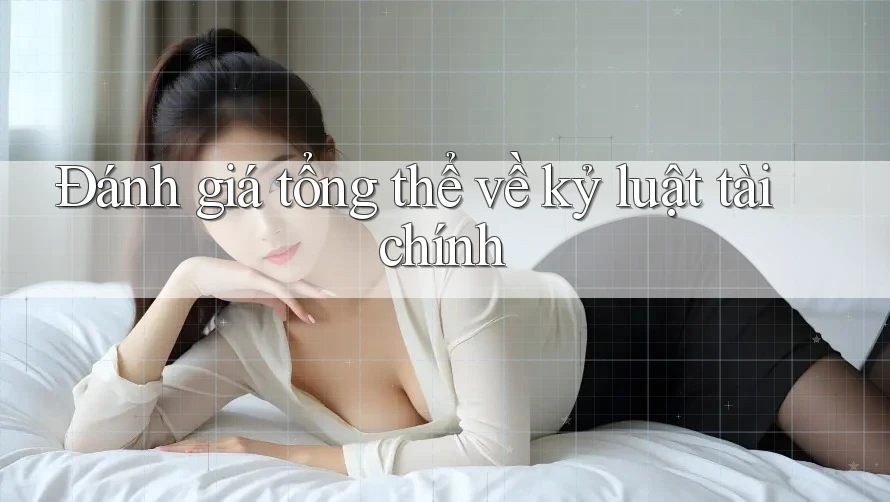 Đánh giá tổng thể về kỷ luật tài chính Đánh giá tổng thể về kỷ luật tài chính