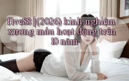 five88 (2026) kinh nghiệm xương máu hoạt động trên 10 năm