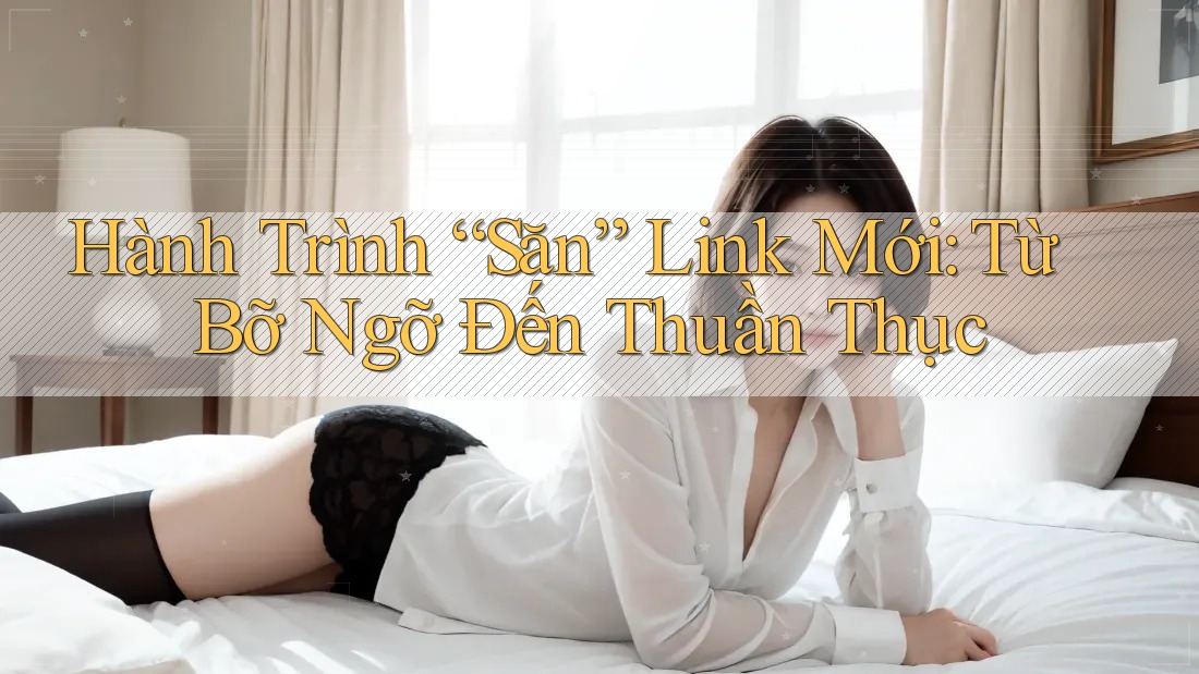 Hành Trình “Săn” Link Mới: Từ Bỡ Ngỡ Đến Thuần Thục Hành Trình “Săn” Link Mới: Từ Bỡ Ngỡ Đến Thuần Thục