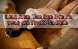 link xem tìm bạn bốn phương của five88 ổn định