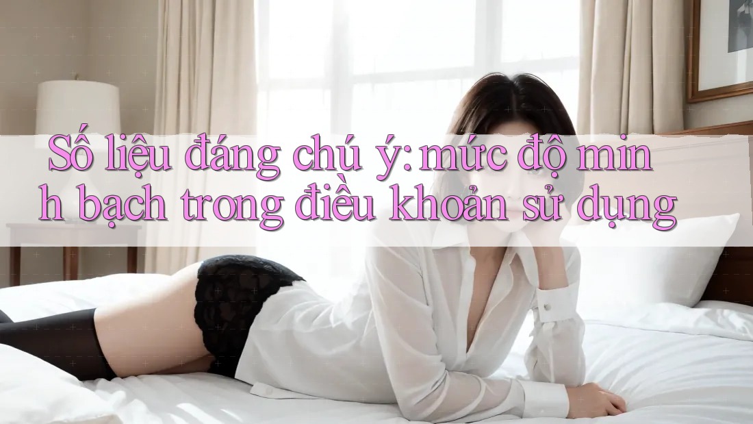 Số liệu đáng chú ý: mức độ minh bạch trong điều khoản sử dụng Số liệu đáng chú ý: mức độ minh bạch trong điều khoản sử dụng