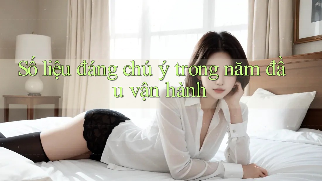 Số liệu đáng chú ý trong năm đầu vận hành Số liệu đáng chú ý trong năm đầu vận hành