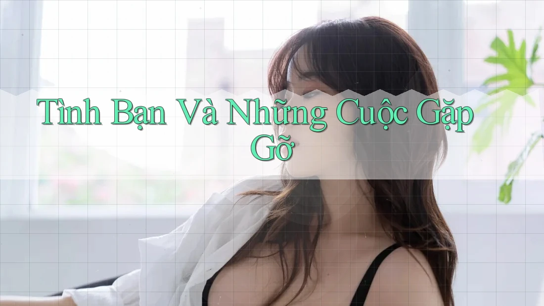 Tình Bạn Và Những Cuộc Gặp Gỡ Tình Bạn Và Những Cuộc Gặp Gỡ